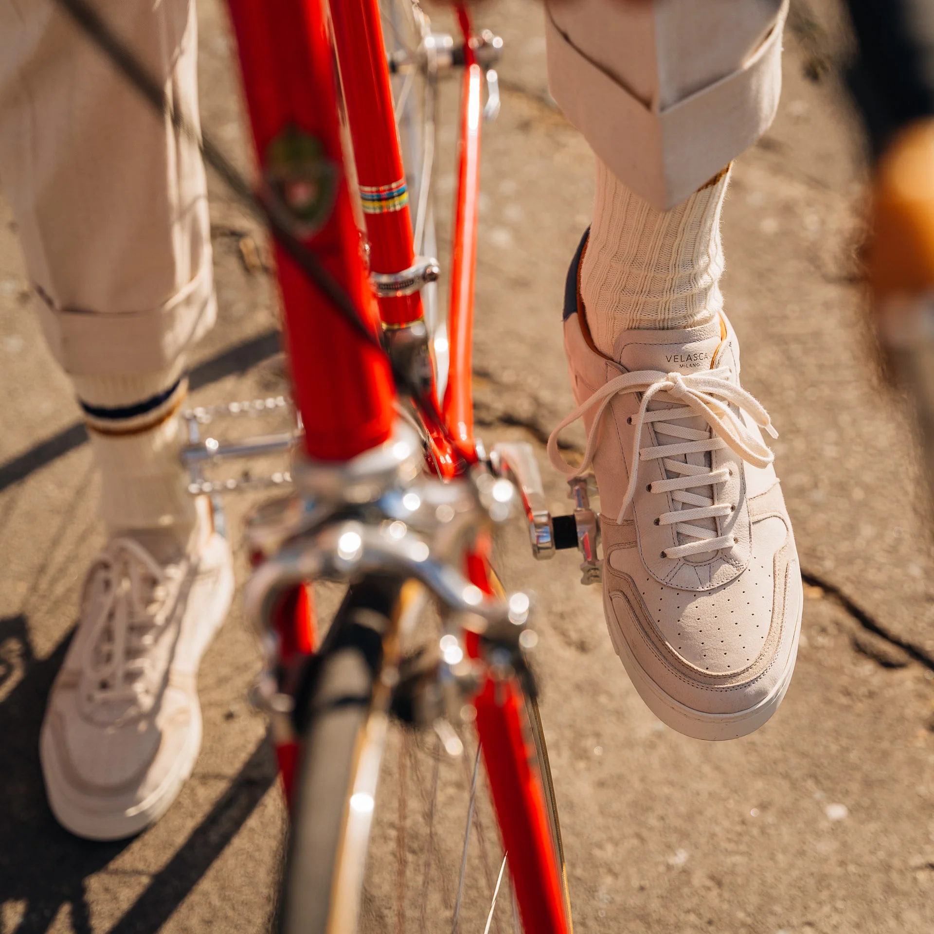 Malnatt - immagine 3