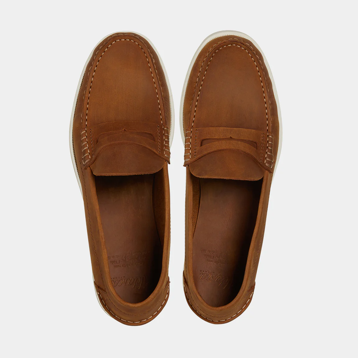 Ancioatt - immagine 4