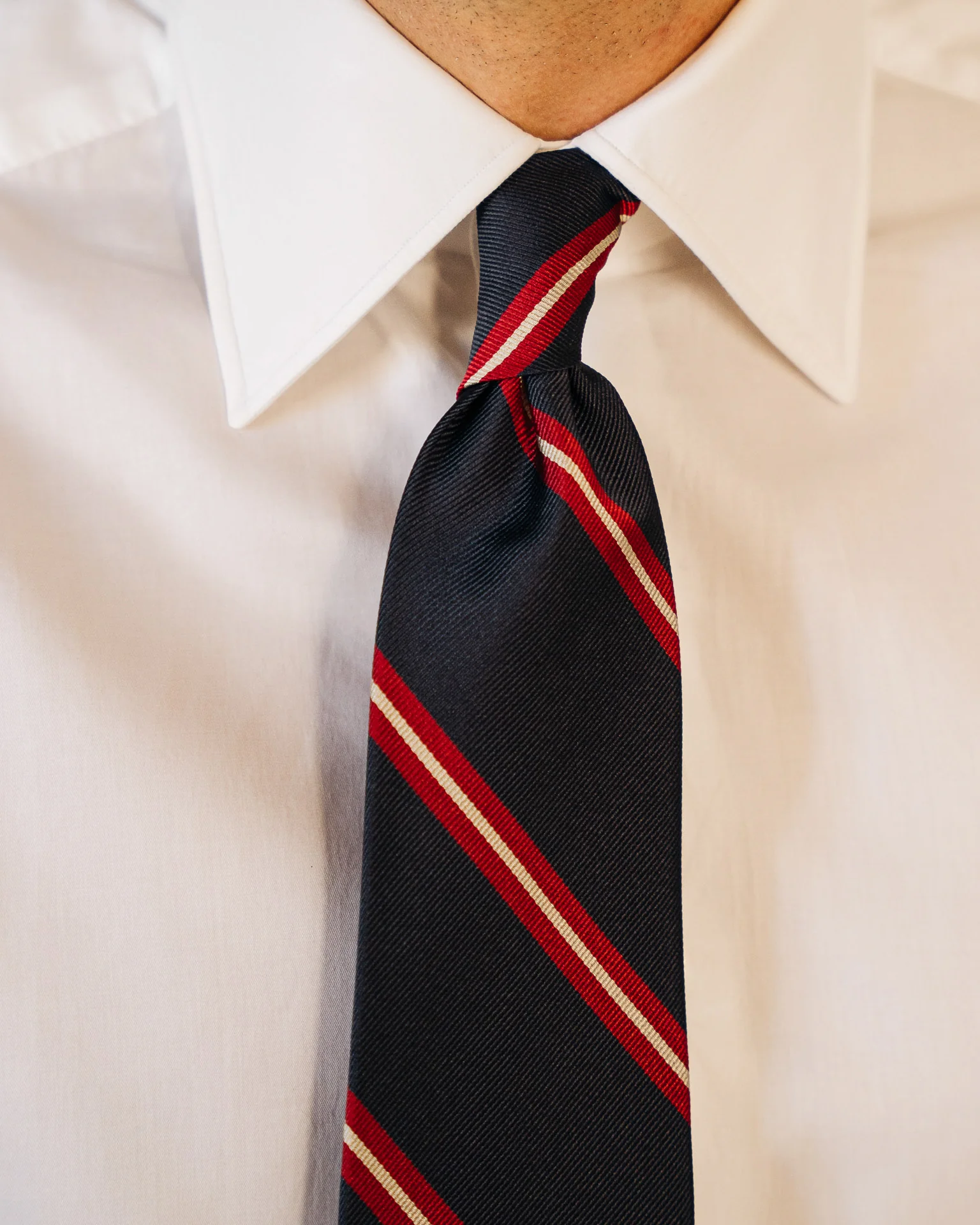 Corallo - immagine 6