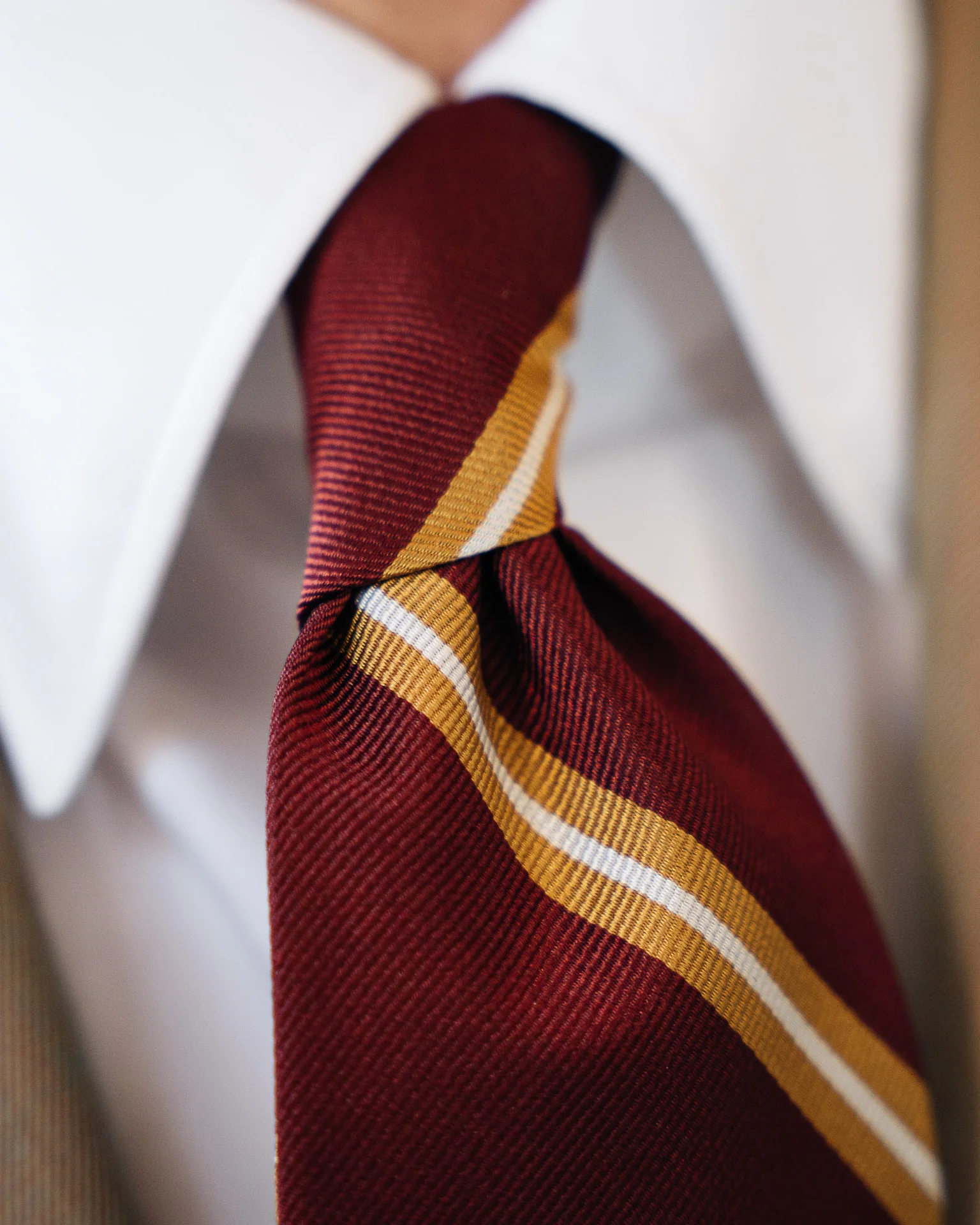 Corallo - immagine 6