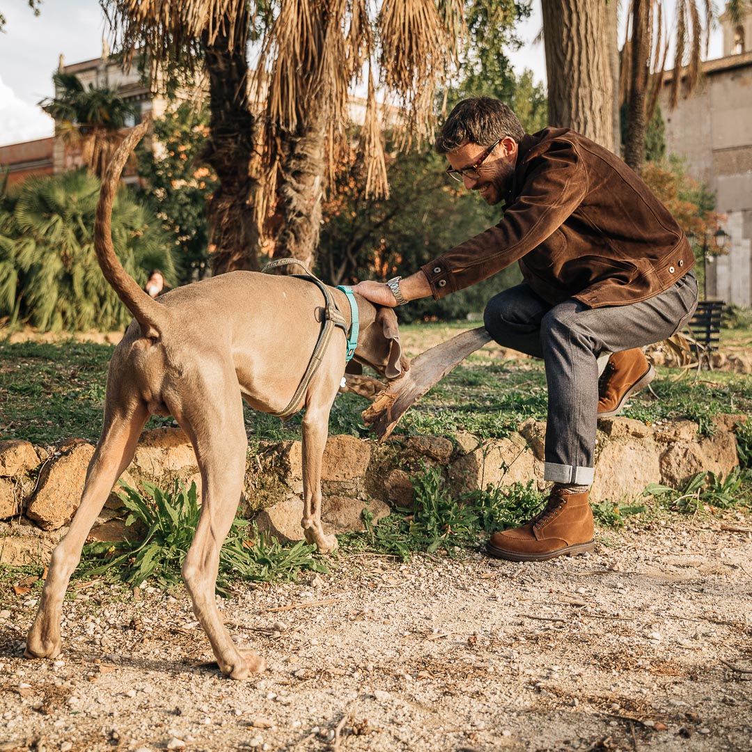 Pacciasass - immagine 8