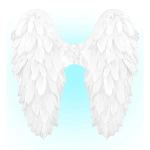 Ali con Piume Bianche di Angelo del Cielo