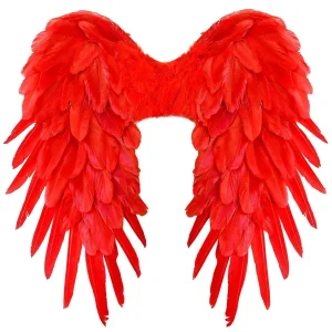 Ali di Angelo Caduto con Piume Rosse