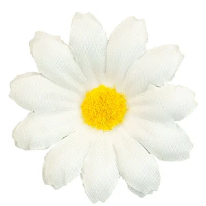 Set di 20 Margherite per Decorazione