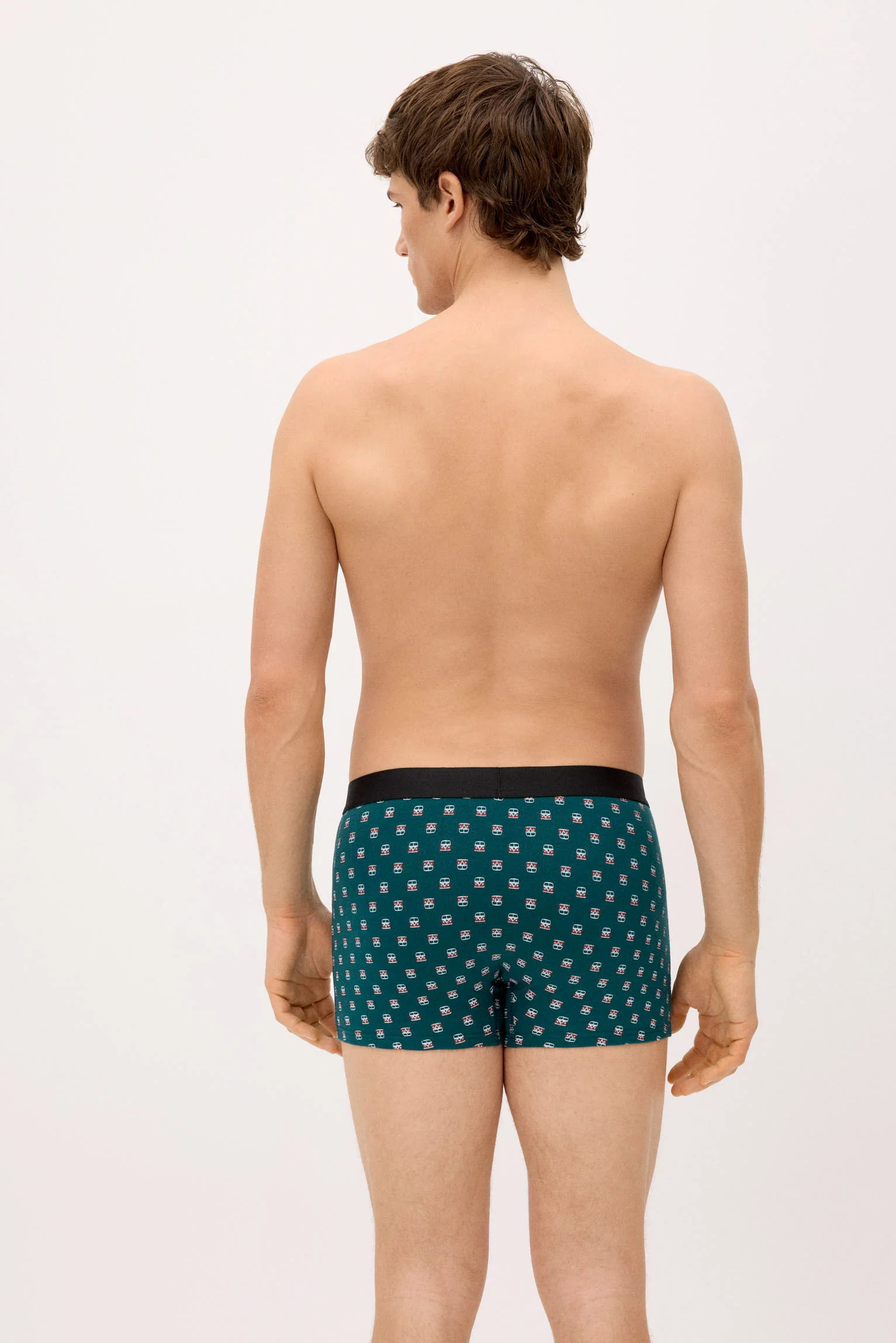 Confezione da 2 boxer con stampe assortite: roulotte e palma - immagine 4