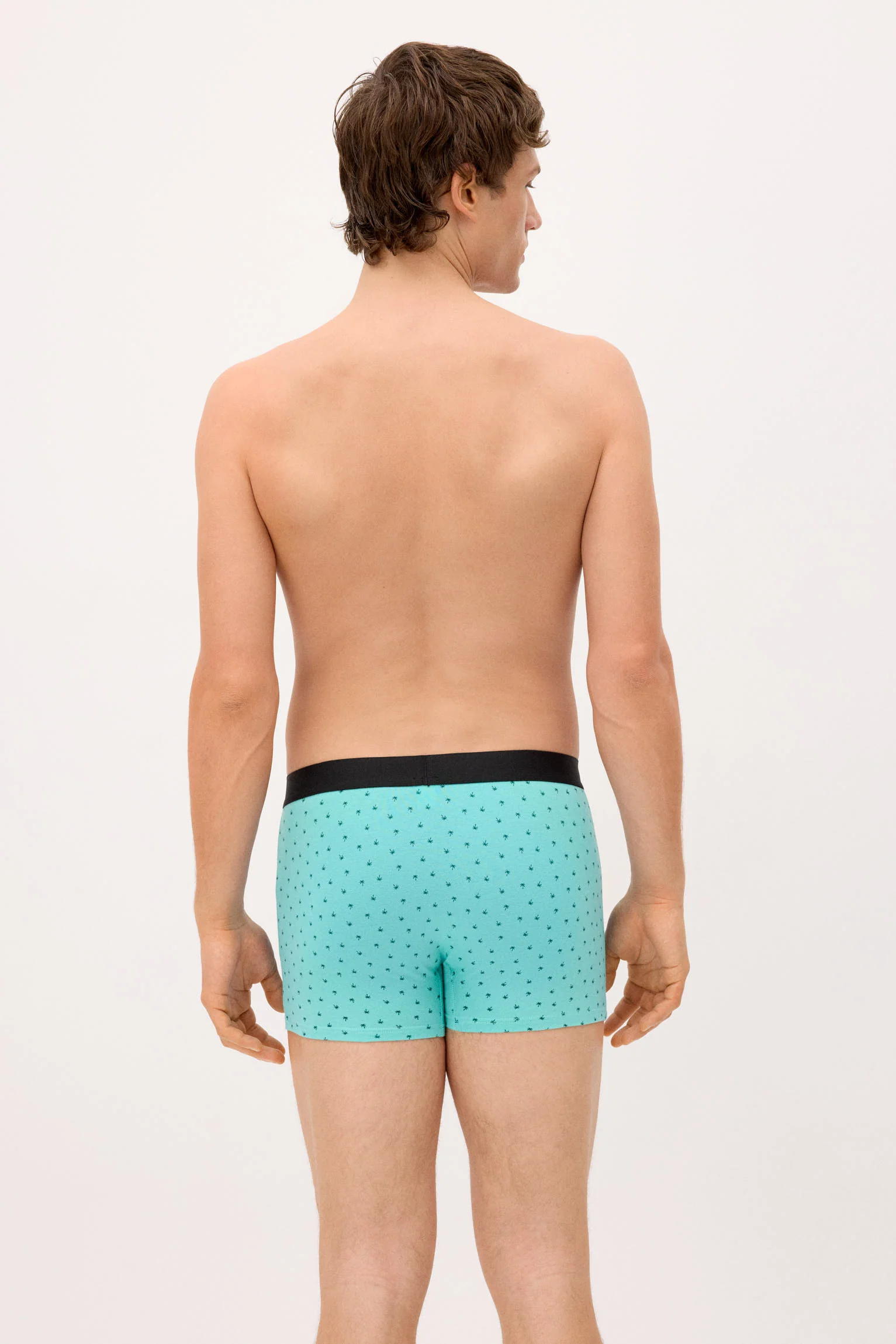 Confezione da 2 boxer con stampe assortite: roulotte e palma - immagine 8