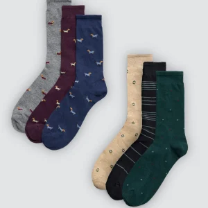 Confezione da 6 calzini alti stampati