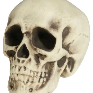 Teschio per Decorazione da 20cm