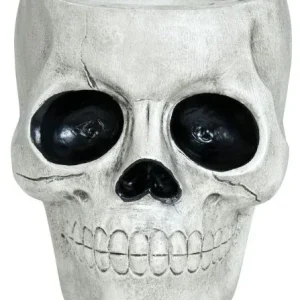 Ciotola di Teschio in Poliresina