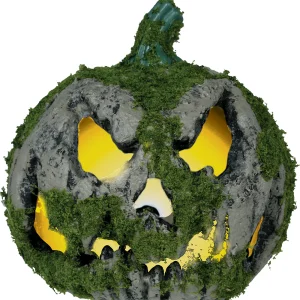 Zucca grigia con muschio e luce multicolore