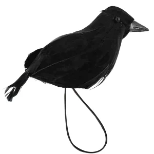 Corvo con piume per la spalla