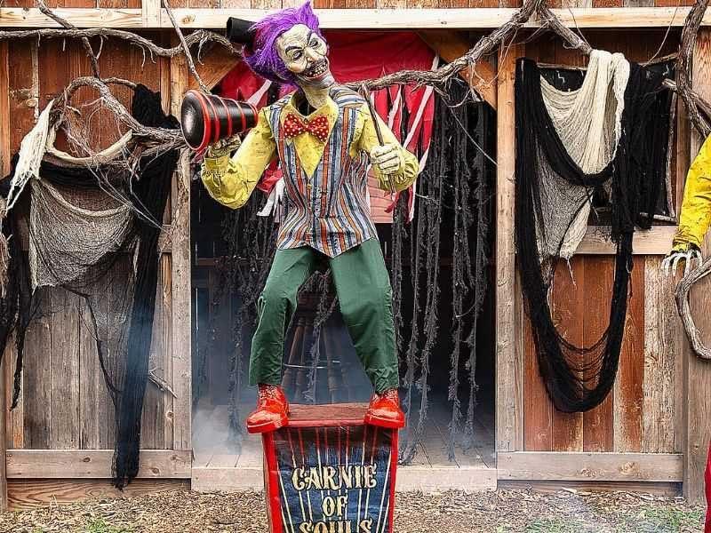 Presentatore di Circo Sinistro con Movimento, Luce e Suono - immagine 8