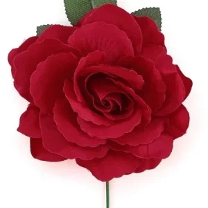 Rosa Rossa Elegante
