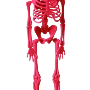 Scheletro Rosa Fucsia Aterciopelado per Appendere